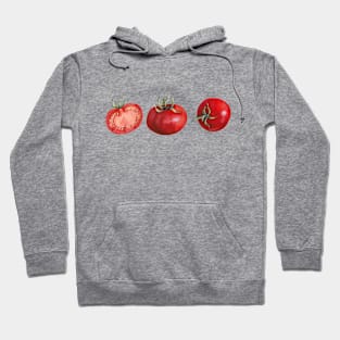 Three Red Tomatoes. Watercolor Painting Hoodie